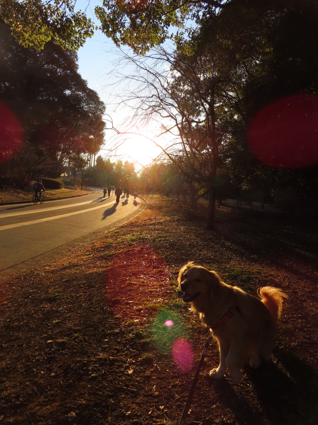 ファイル 8263-5.jpg