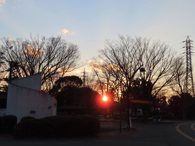 ファイル 8267-1.jpg