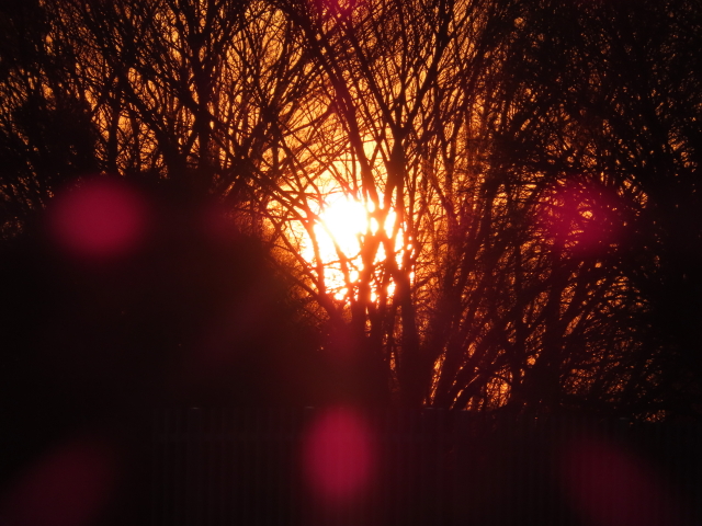 ファイル 8267-3.jpg