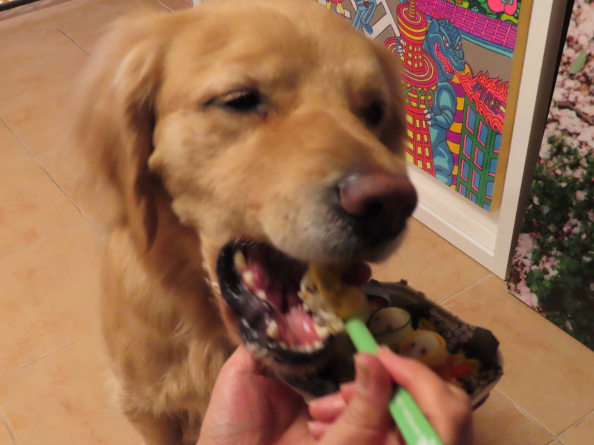 ファイル 8268-5.jpg