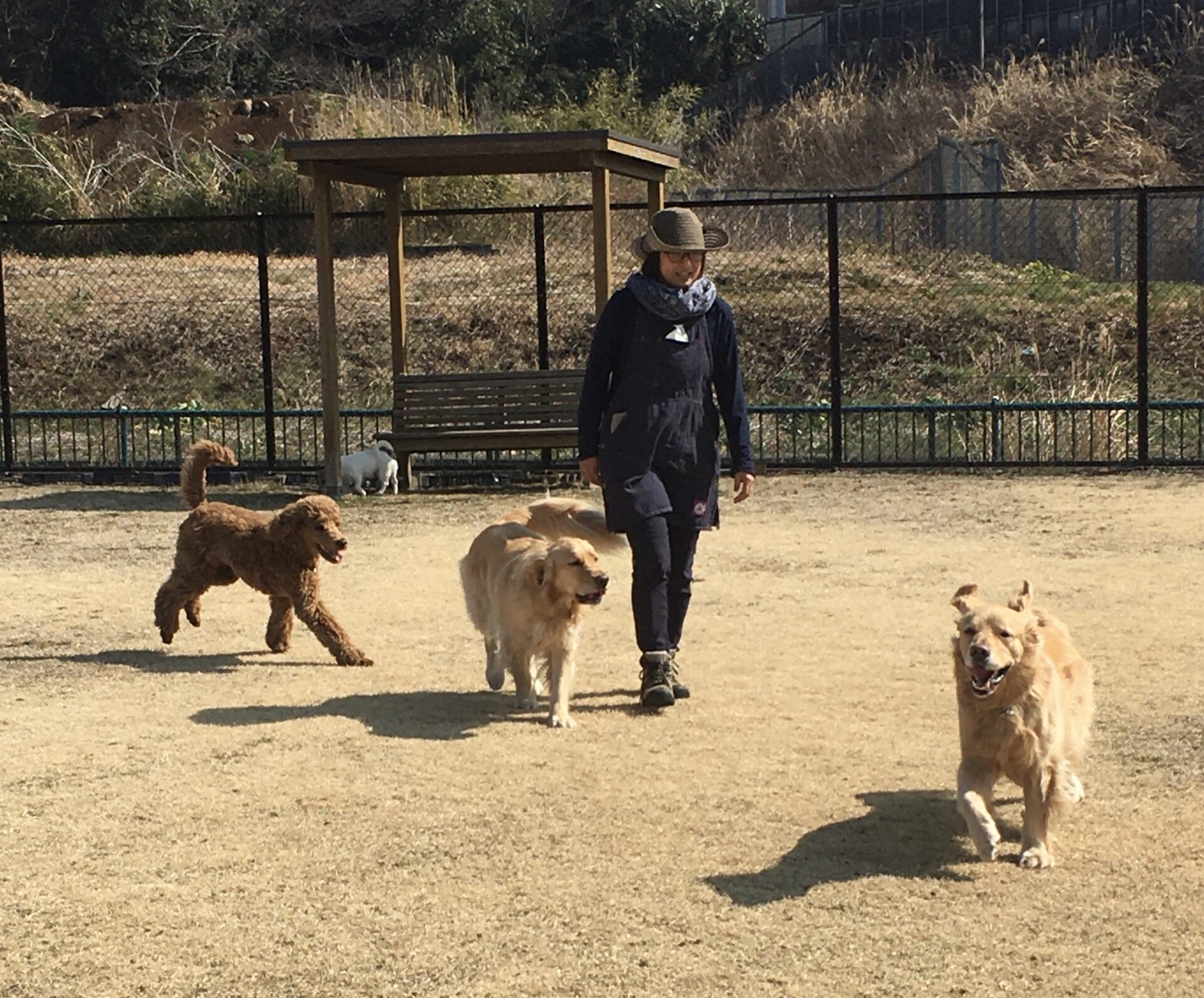 ファイル 8269-1.jpeg