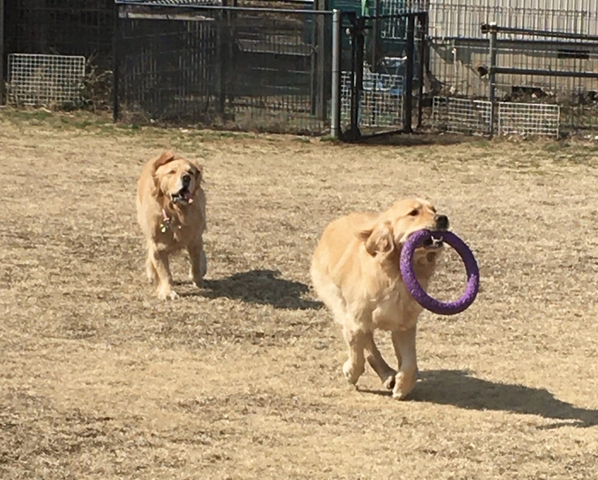 ファイル 8269-4.jpeg