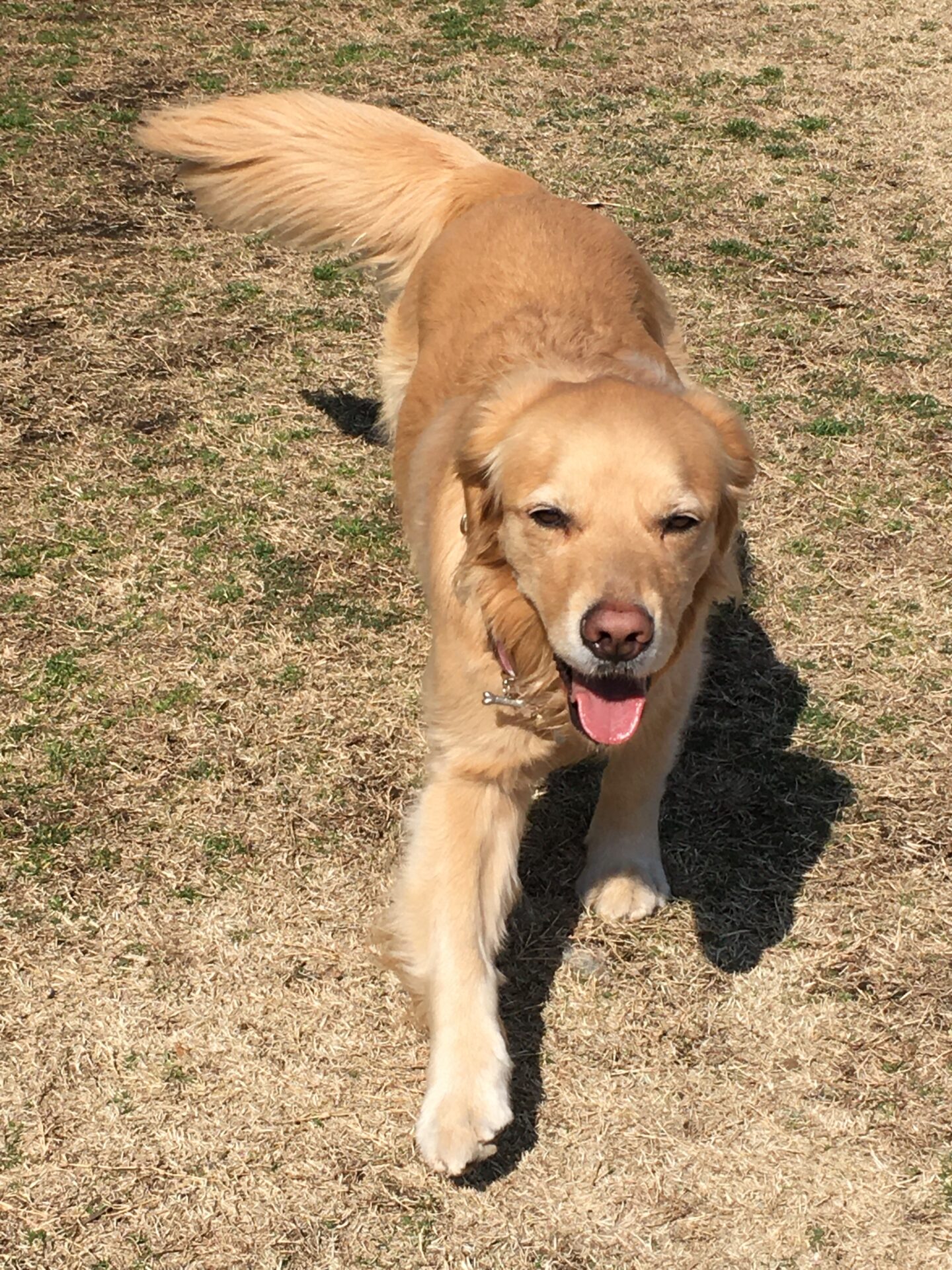 ファイル 8269-5.jpeg