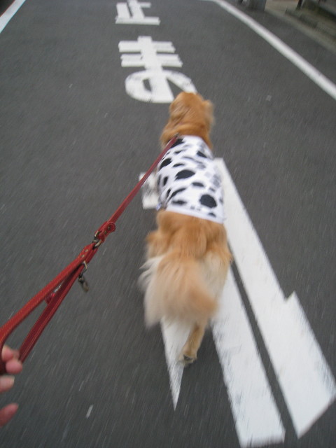 ファイル 827-1.jpg