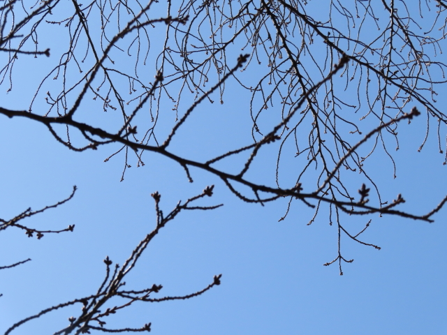 ファイル 8270-5.jpg