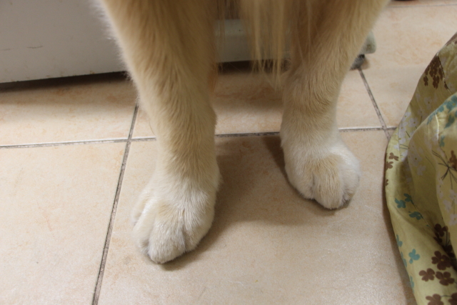 ファイル 8271-1.jpg