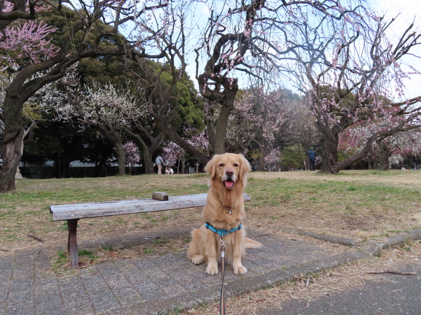 ファイル 8273-3.jpg