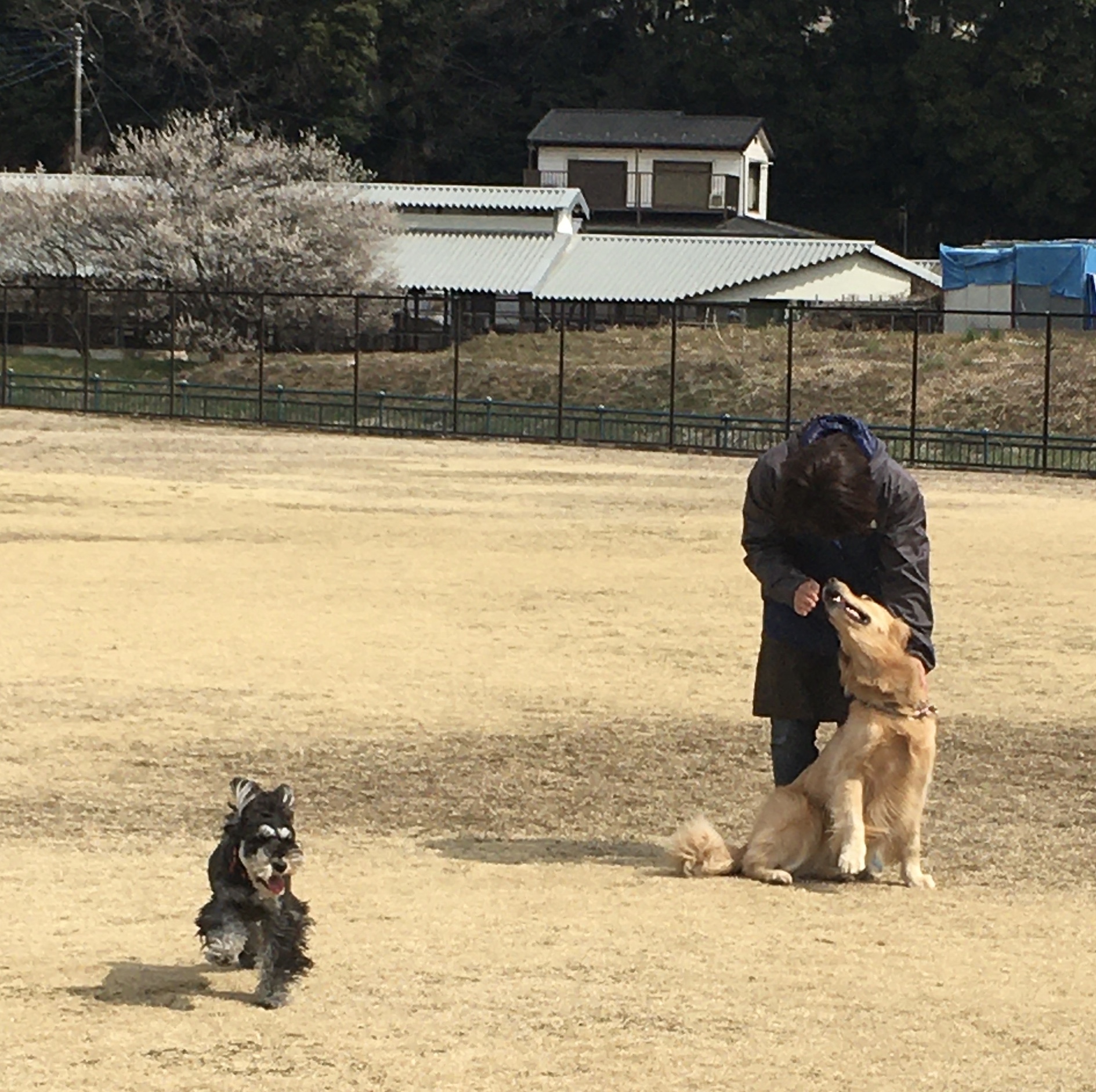 ファイル 8275-2.jpeg