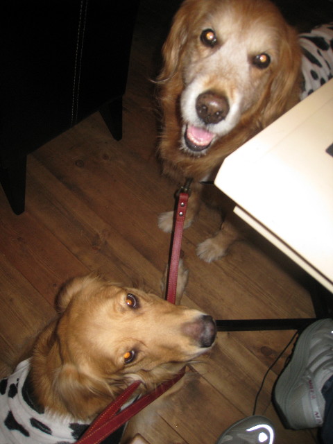 ファイル 828-1.jpg