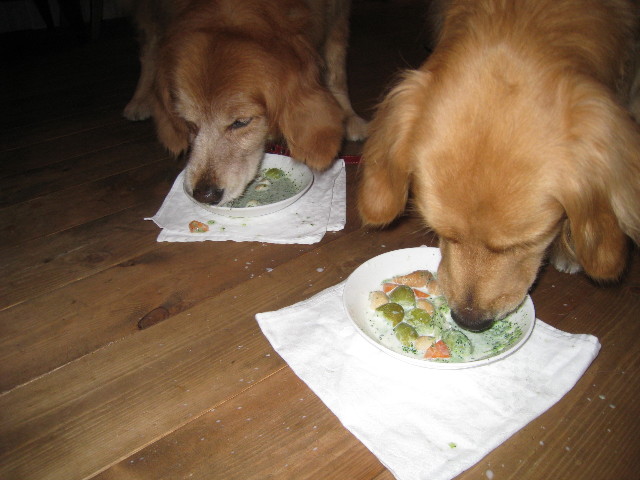 ファイル 828-3.jpg