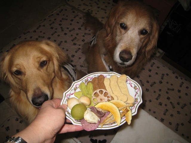 ファイル 828-4.jpg