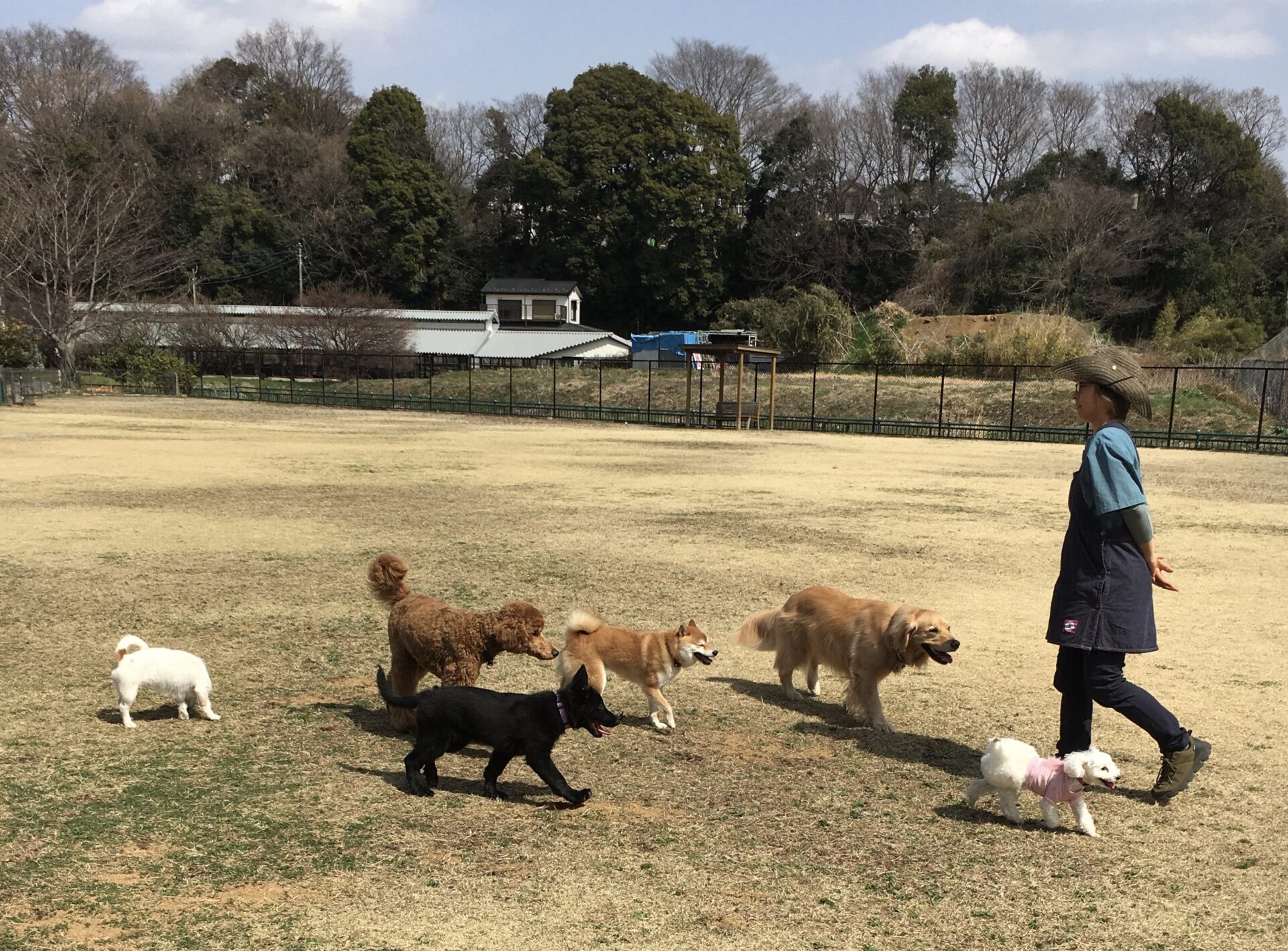 ファイル 8280-4.jpeg