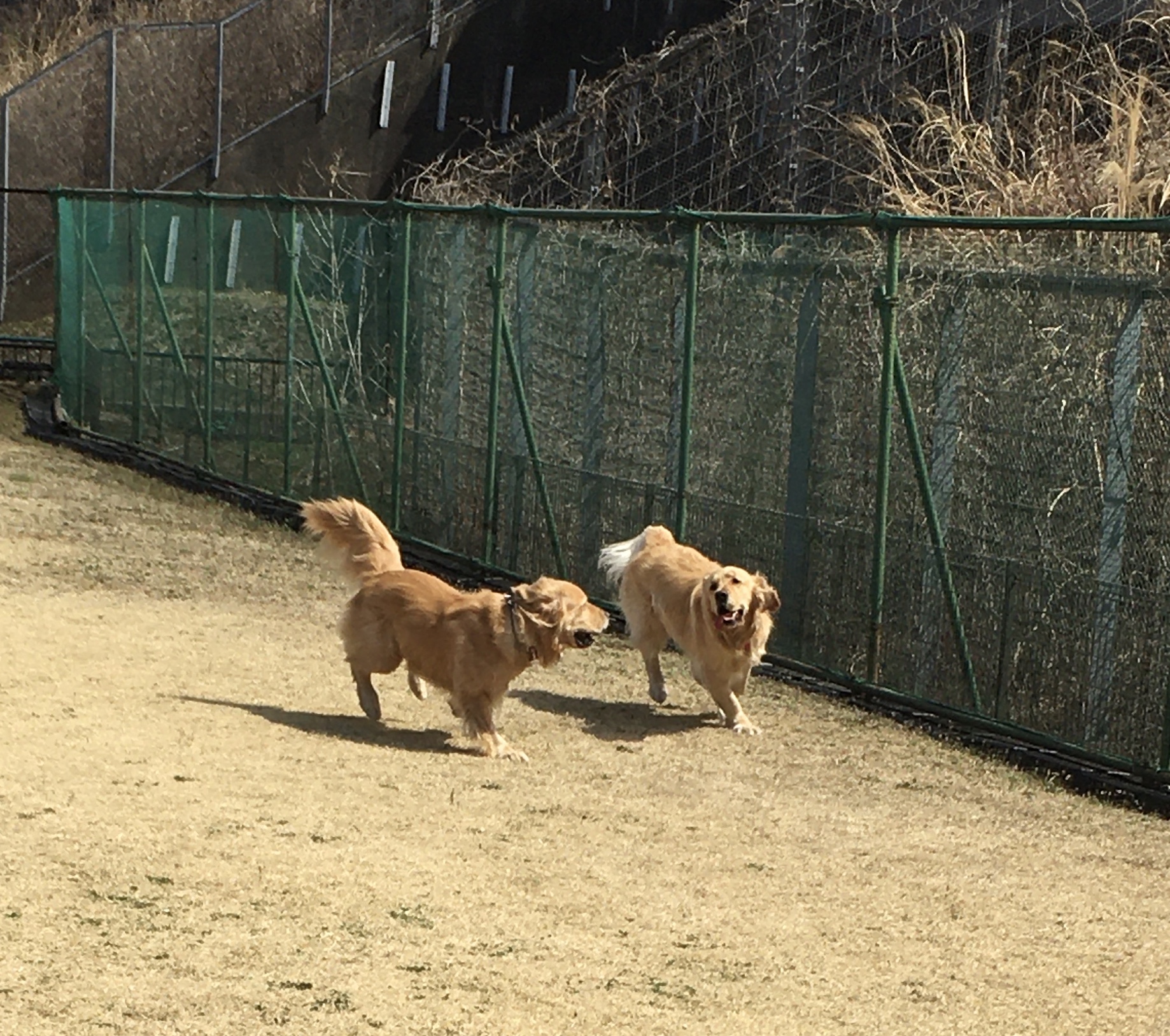 ファイル 8280-5.jpeg