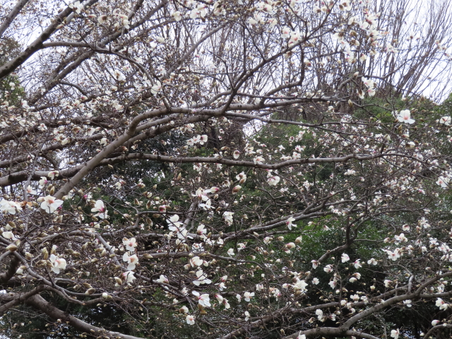 ファイル 8282-3.jpg