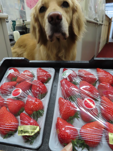 ファイル 8283-5.jpg