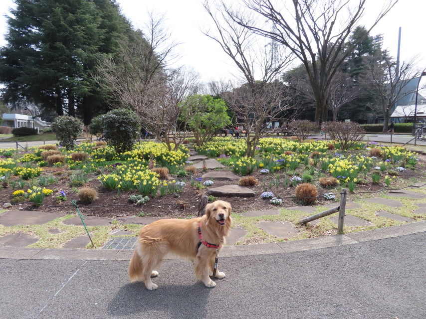 ファイル 8285-1.jpg