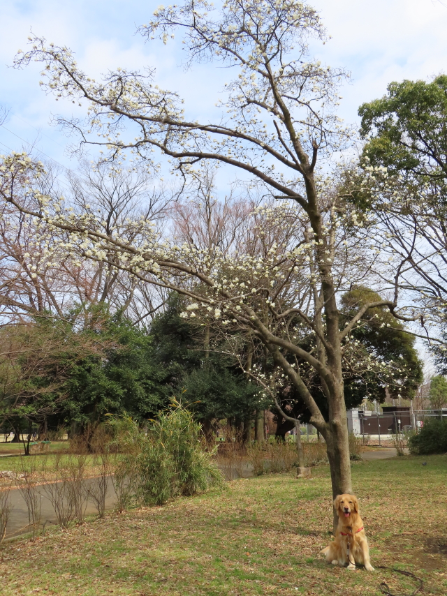 ファイル 8285-2.jpg