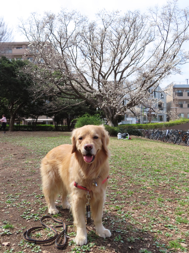 ファイル 8285-3.jpg