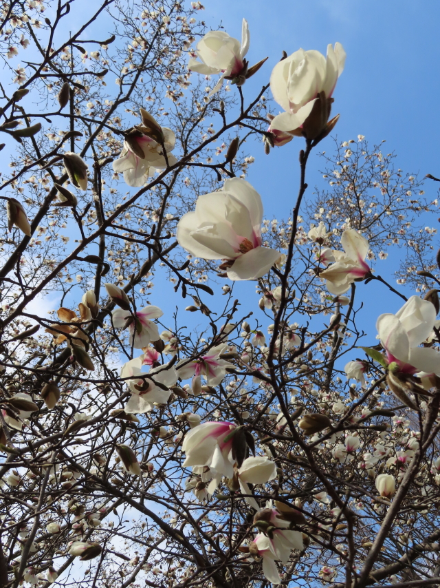 ファイル 8285-4.jpg