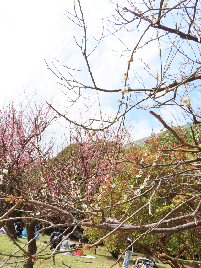 ファイル 8285-5.jpg