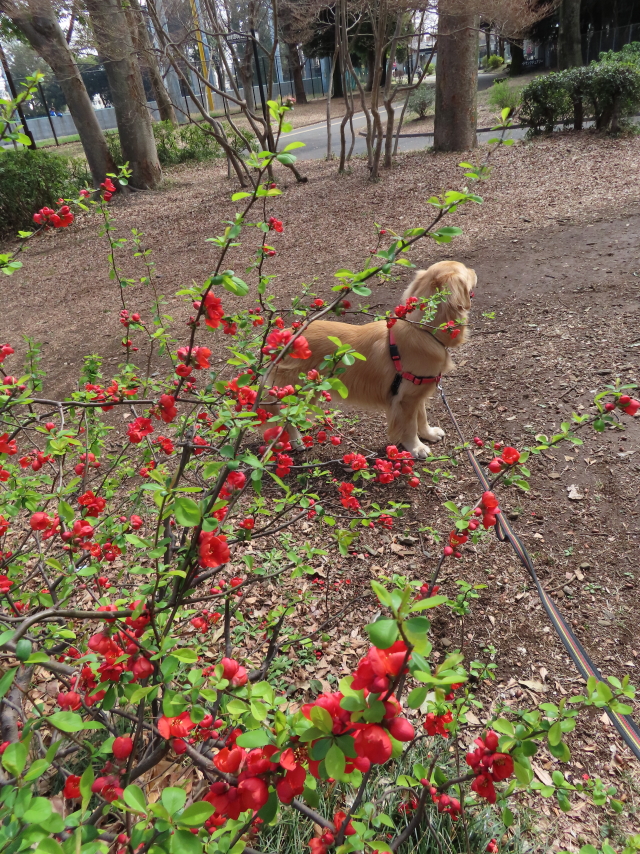 ファイル 8286-1.jpg