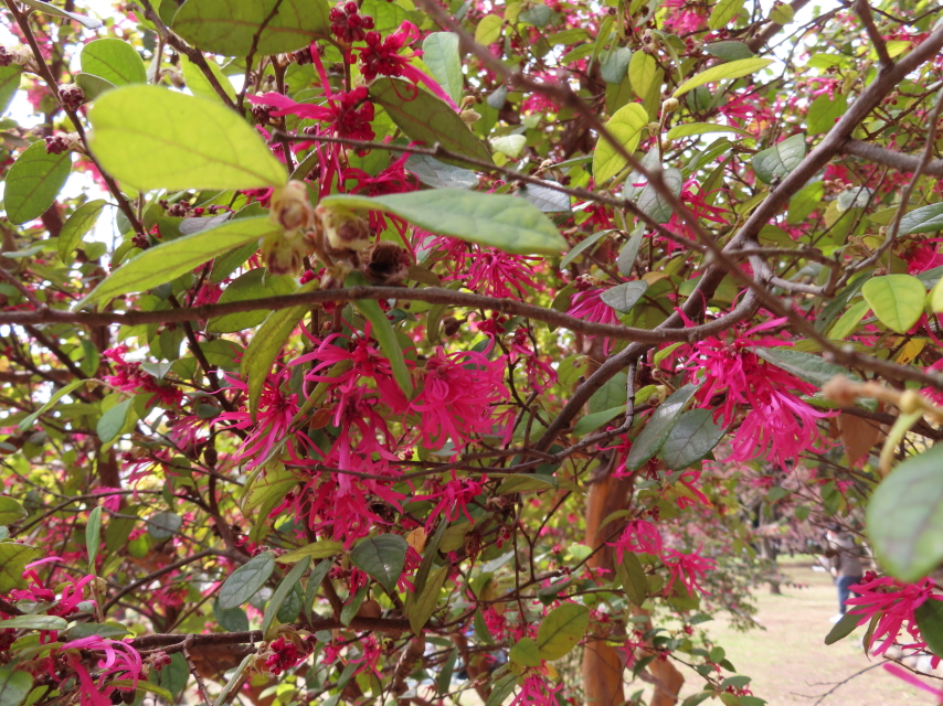 ファイル 8286-3.jpg