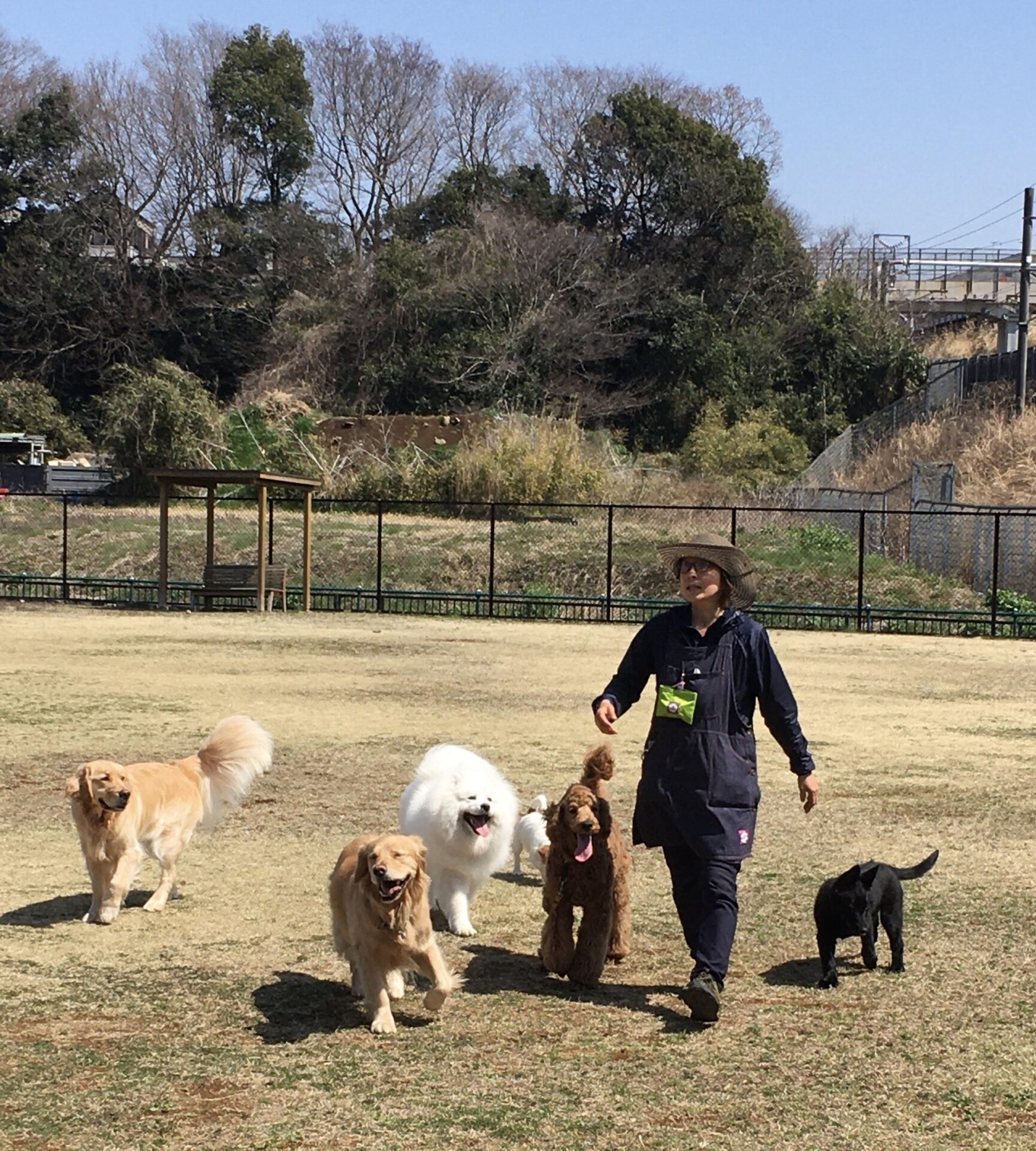 ファイル 8287-1.jpeg