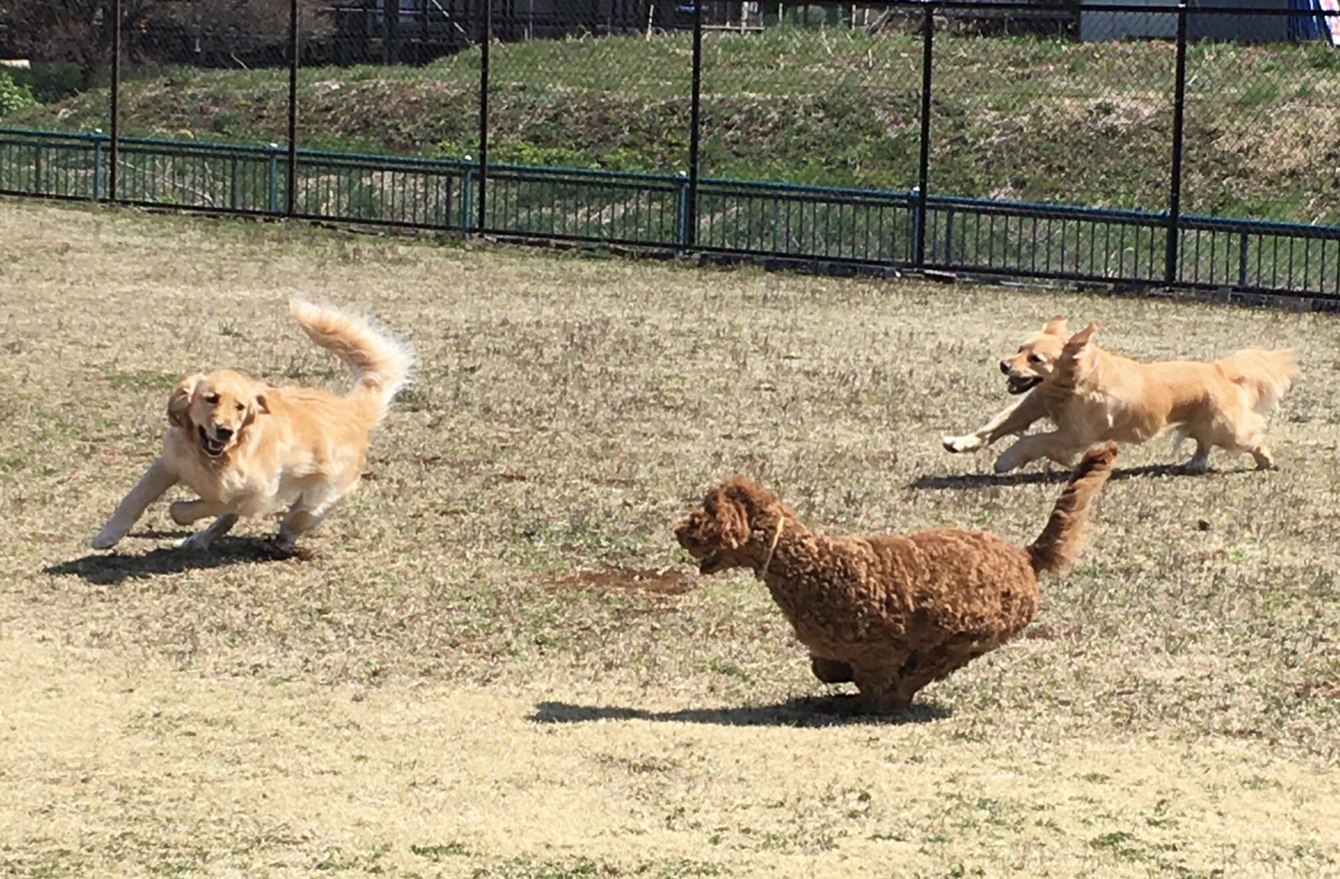 ファイル 8287-2.jpeg