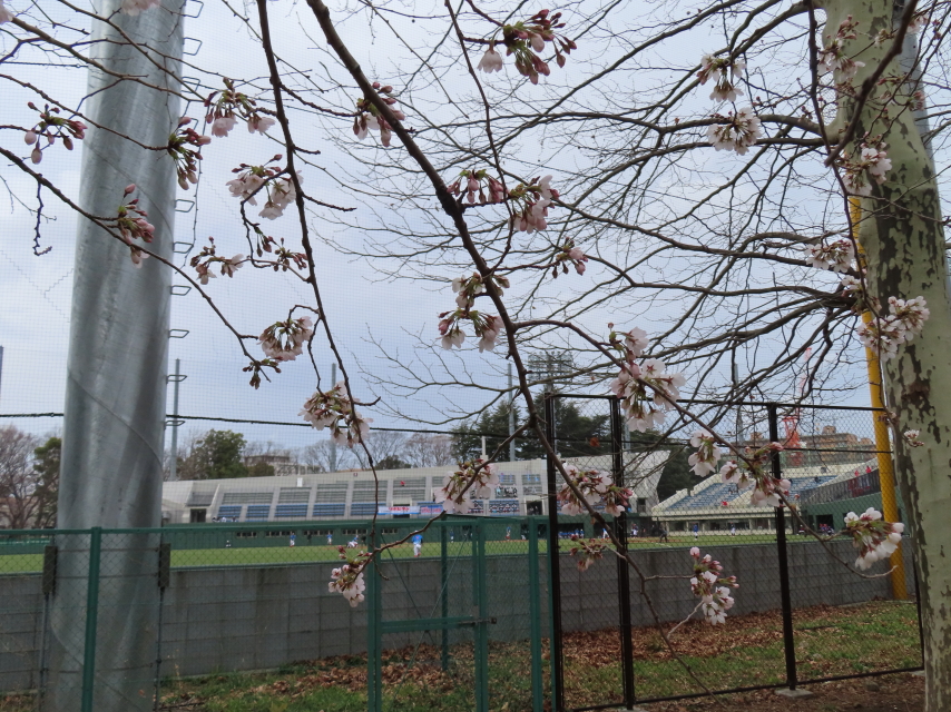 ファイル 8290-2.jpg