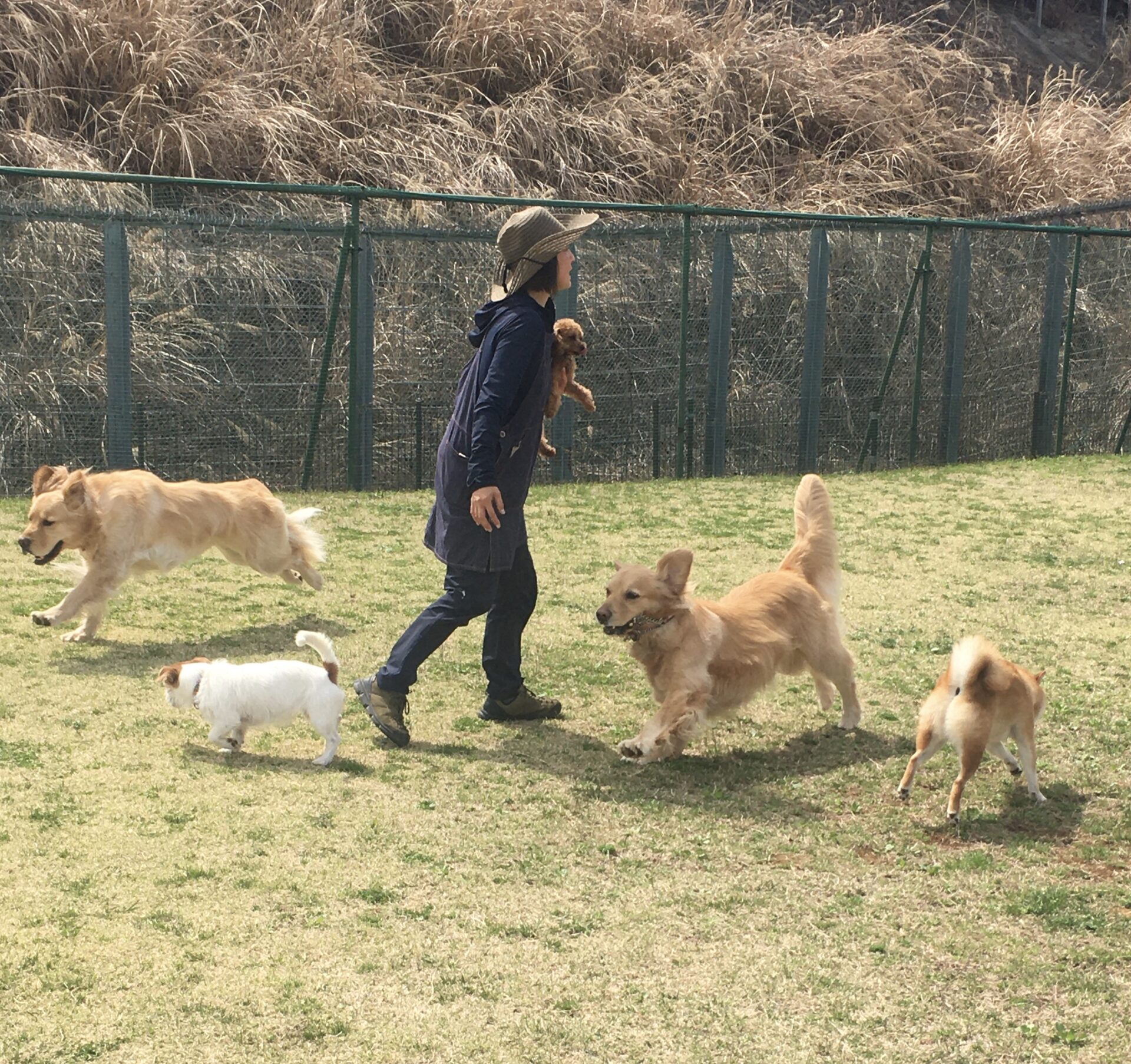 ファイル 8296-2.jpeg