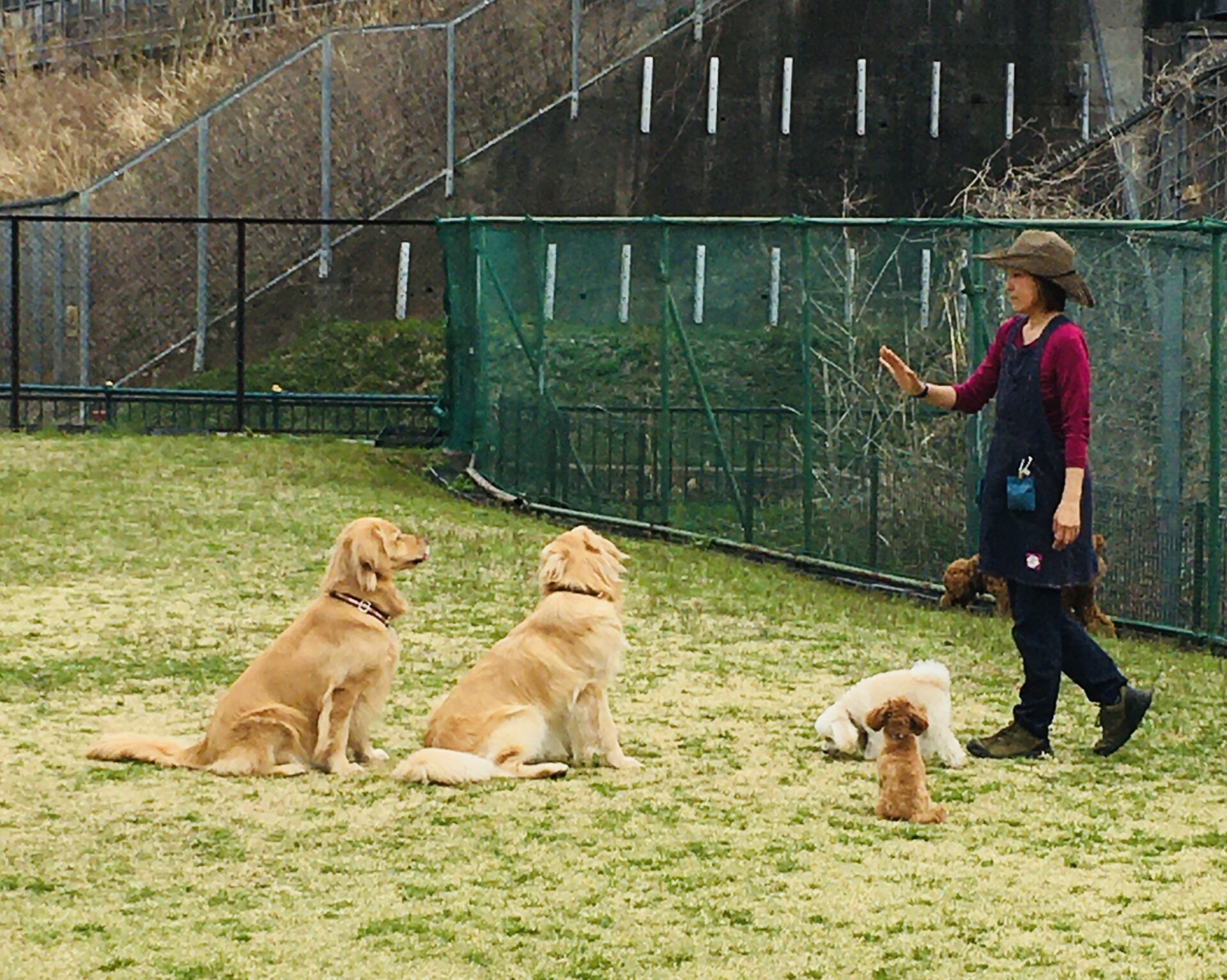 ファイル 8296-3.jpeg