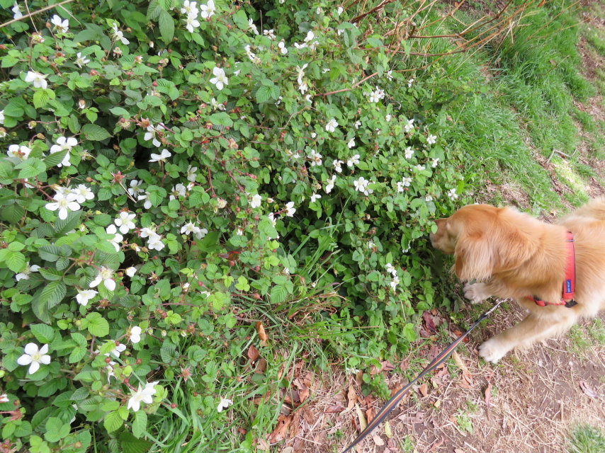 ファイル 8298-2.jpg