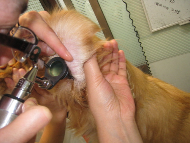 ファイル 830-1.jpg