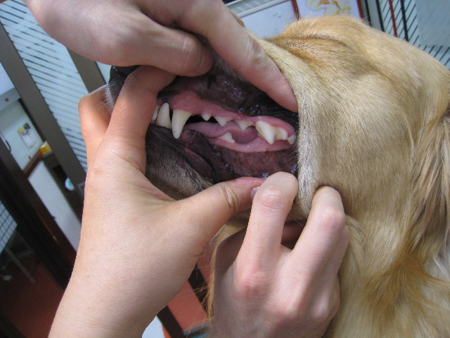 ファイル 830-2.jpg