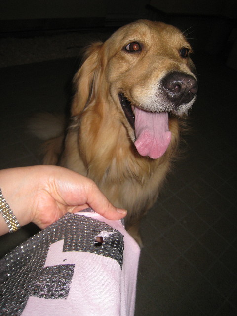 ファイル 830-5.jpg