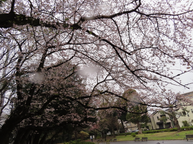 ファイル 8300-4.jpg