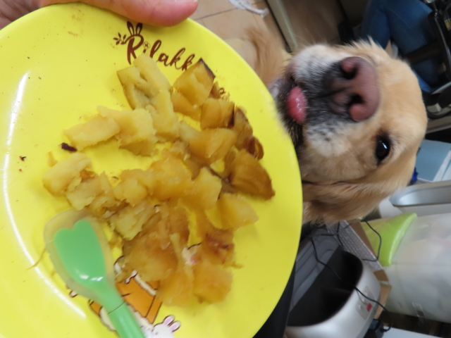 ファイル 8300-5.jpg