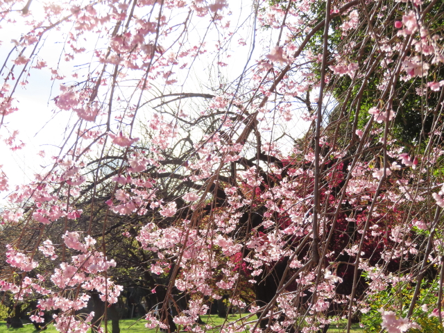 ファイル 8301-4.jpg