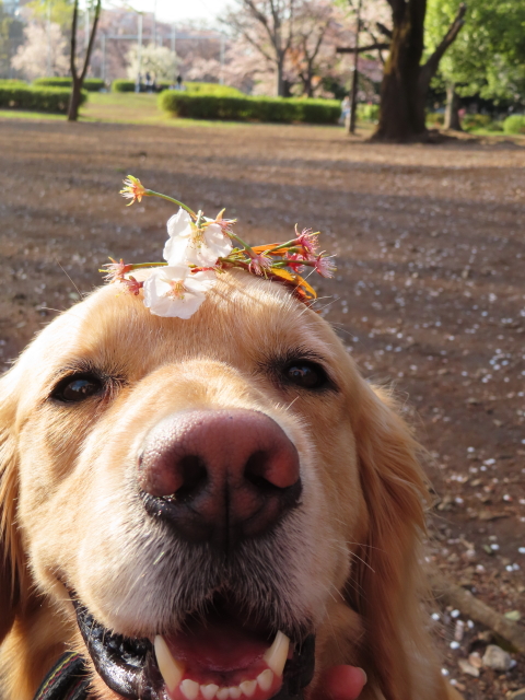 ファイル 8302-3.jpg