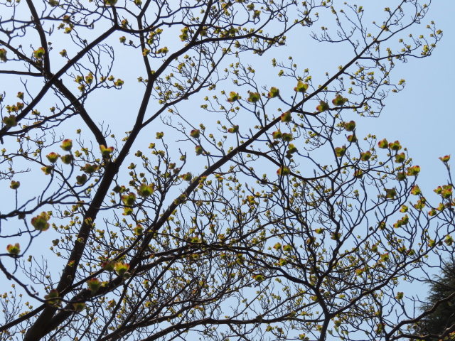 ファイル 8303-1.jpg