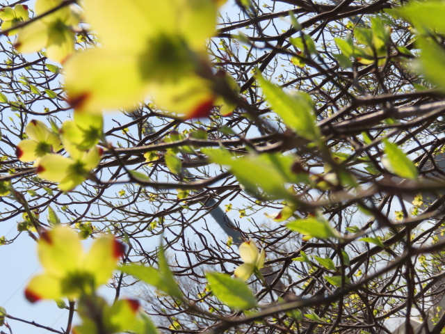 ファイル 8303-2.jpg