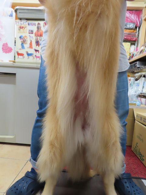 ファイル 8304-3.jpg