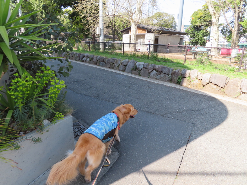 ファイル 8306-1.jpg