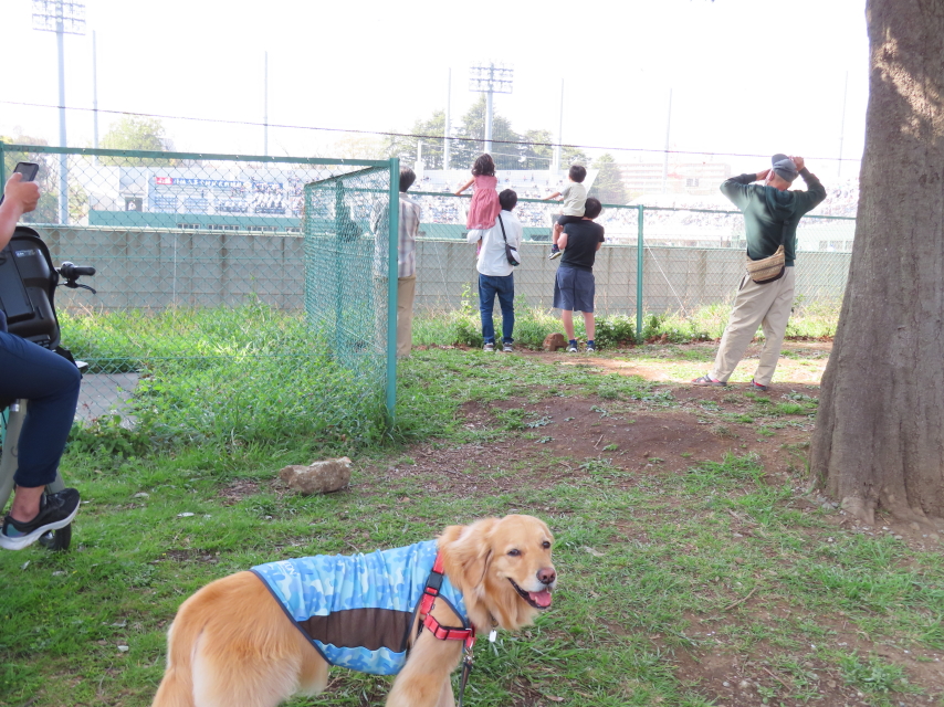 ファイル 8306-2.jpg