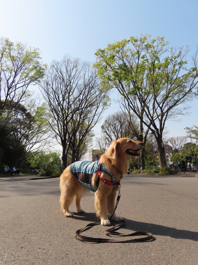 ファイル 8306-3.jpg