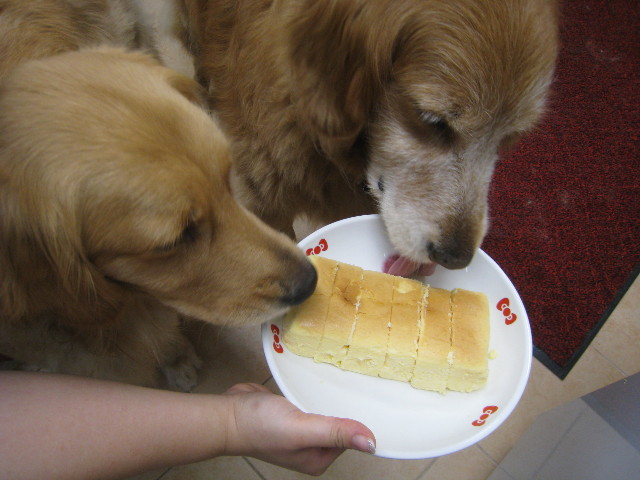 ファイル 831-2.jpg