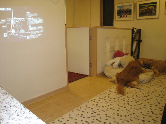 ファイル 831-4.jpg