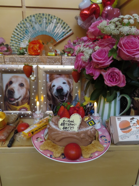 ファイル 8310-1.jpg