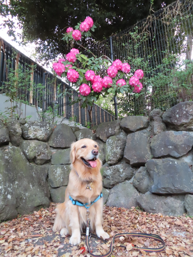 ファイル 8310-3.jpg