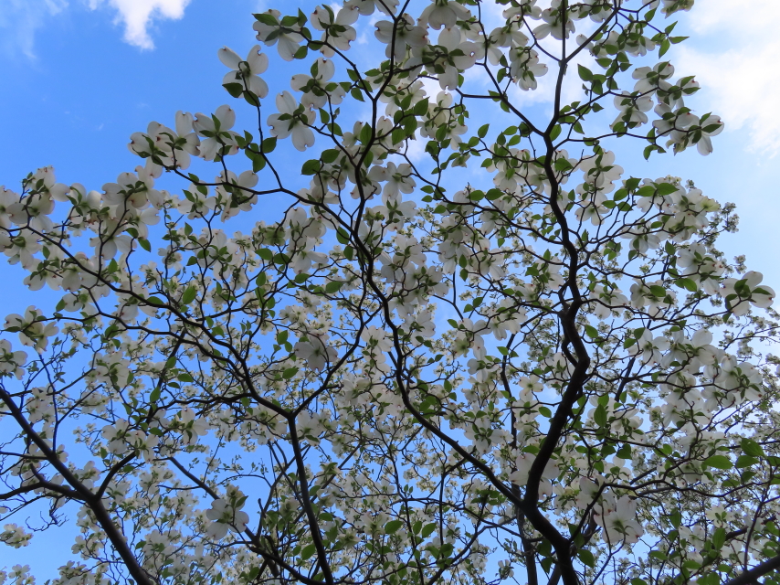 ファイル 8310-5.jpg